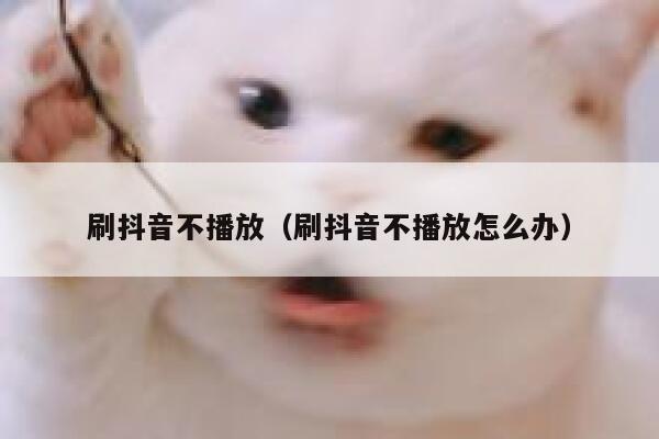 刷抖音不播放(刷抖音不播放怎么办) 第1张 刷抖音不播放(刷抖音不播放怎么办) 第1张