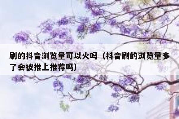 刷的抖音浏览量可以火吗(抖音刷的浏览量多了会被推上推荐吗) 第1张 刷的抖音浏览量可以火吗(抖音刷的浏览量多了会被推上推荐吗) 第1张