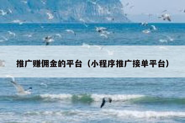 推广赚佣金的平台(小程序推广接单平台) 第1张 推广赚佣金的平台(小程序推广接单平台) 第1张