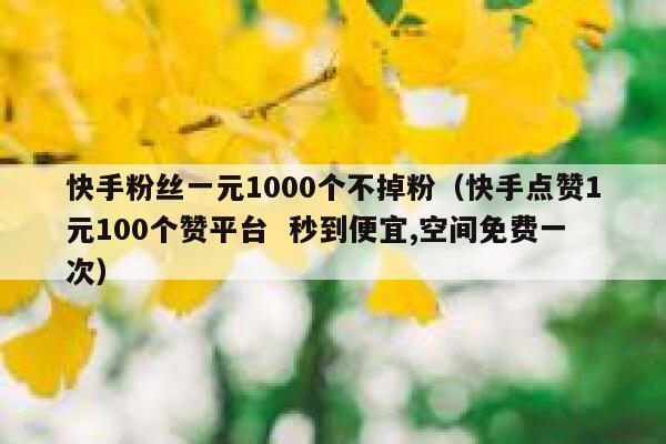 快手粉丝一元1000个不掉粉（快手点赞1元100个赞平台  秒到便宜,空间免费一次） 第1张