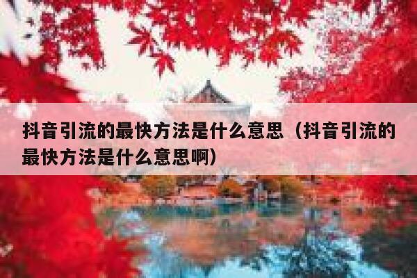 抖音引流的最快方法是什么意思（抖音引流的最快方法是什么意思啊） 第1张