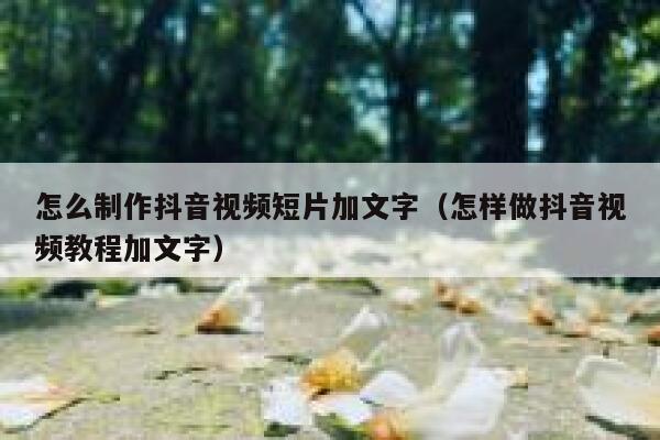 怎么制作抖音视频短片加文字（怎样做抖音视频教程加文字） 第1张