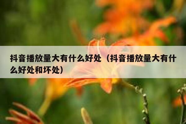 抖音播放量大有什么好处(抖音播放量大有什么好处和坏处) 第1张 抖音播放量大有什么好处(抖音播放量大有什么好处和坏处) 第1张