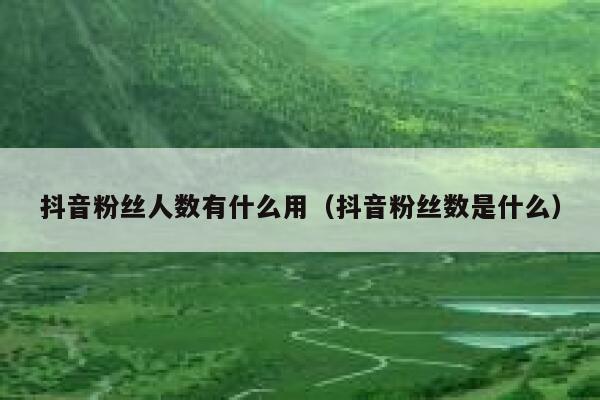 抖音粉丝人数有什么用（抖音粉丝数是什么） 第1张