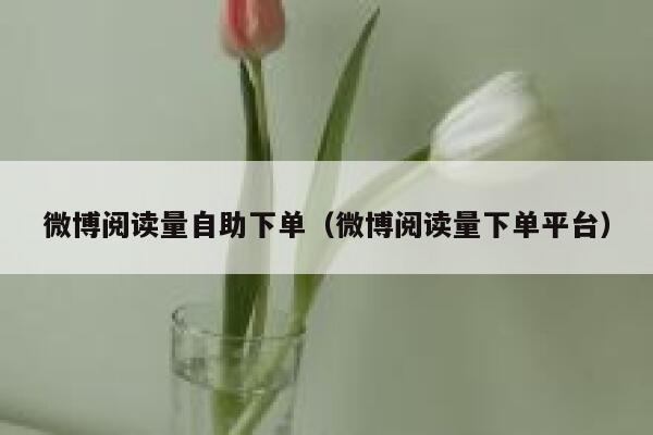 微博阅读量自助下单（微博阅读量下单平台） 第1张