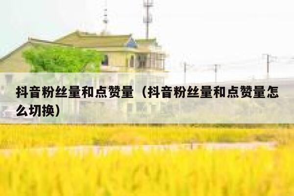 抖音粉丝量和点赞量（抖音粉丝量和点赞量怎么切换） 第1张