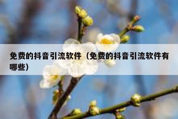 免费的抖音引流软件（免费的抖音引流软件有哪些） 第1张