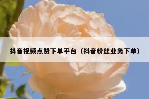 抖音视频点赞下单平台（抖音粉丝业务下单） 第1张