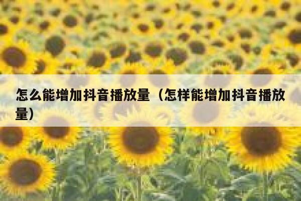 怎么能增加抖音播放量(怎样能增加抖音播放量) 第1张 怎么能增加抖音播放量(怎样能增加抖音播放量) 第1张