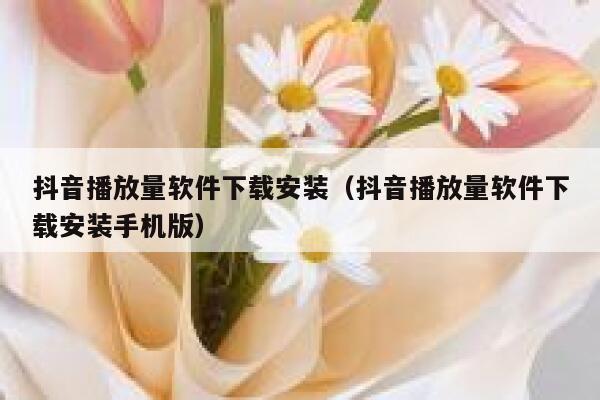 抖音播放量软件下载安装（抖音播放量软件下载安装手机版） 第1张