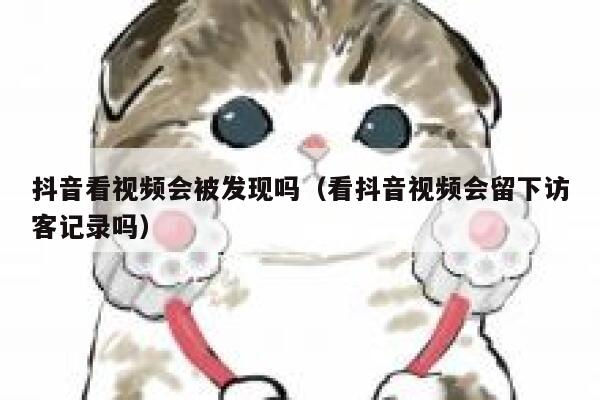 抖音看视频会被发现吗（看抖音视频会留下访客记录吗） 第1张