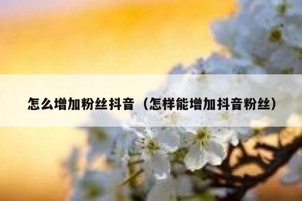 怎么增加粉丝抖音（怎样能增加抖音粉丝） 第1张