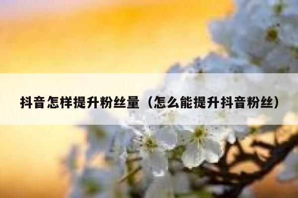 抖音怎样提升粉丝量(怎么能提升抖音粉丝) 第1张 抖音怎样提升粉丝量(怎么能提升抖音粉丝) 第1张