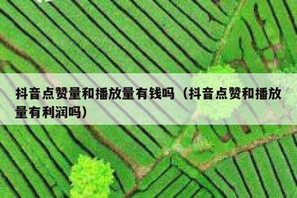 抖音点赞量和播放量有钱吗（抖音点赞和播放量有利润吗） 第1张