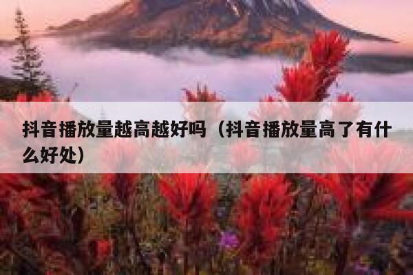 抖音播放量越高越好吗（抖音播放量高了有什么好处） 第1张