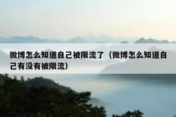 微博怎么知道自己被限流了（微博怎么知道自己有没有被限流） 第1张