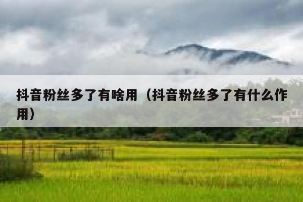 抖音粉丝多了有啥用（抖音粉丝多了有什么作用） 第1张
