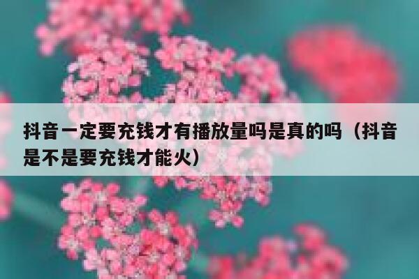 抖音一定要充钱才有播放量吗是真的吗（抖音是不是要充钱才能火） 第1张