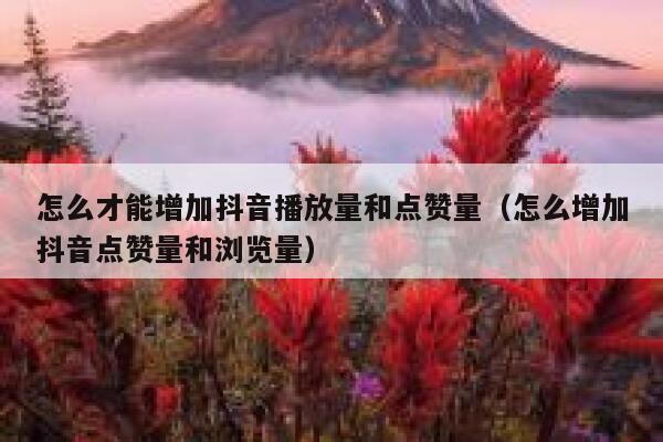 怎么才能增加抖音播放量和点赞量(怎么增加抖音点赞量和浏览量) 第1张 怎么才能增加抖音播放量和点赞量(怎么增加抖音点赞量和浏览量) 第1张