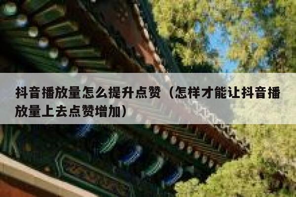 抖音播放量怎么提升点赞（怎样才能让抖音播放量上去点赞增加） 第1张