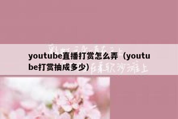 youtube直播打赏怎么弄（youtube打赏抽成多少） 第1张