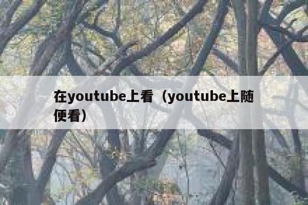 在youtube上看（youtube上随便看） 第1张