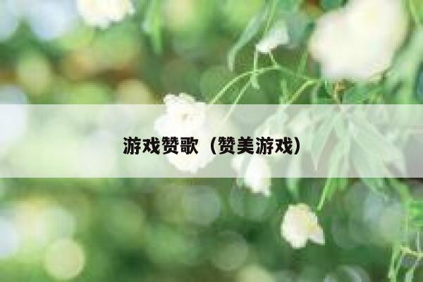 游戏赞歌（赞美游戏） 第1张