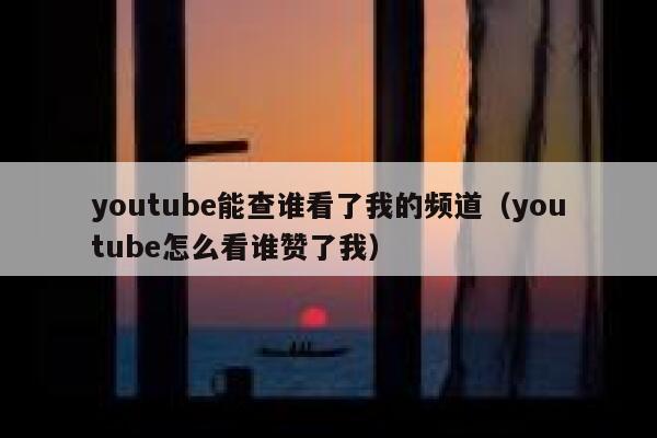 youtube能查谁看了我的频道（youtube怎么看谁赞了我） 第1张