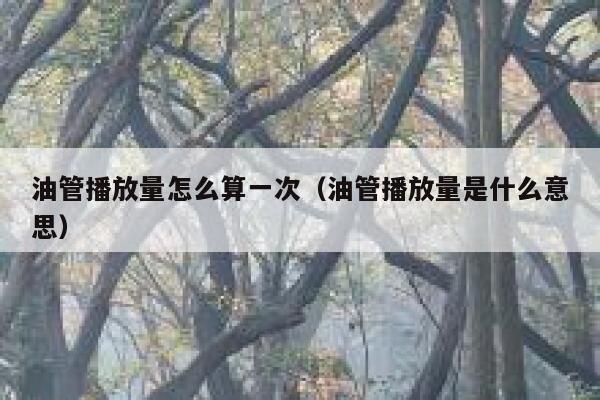 油管播放量怎么算一次（油管播放量是什么意思） 第1张