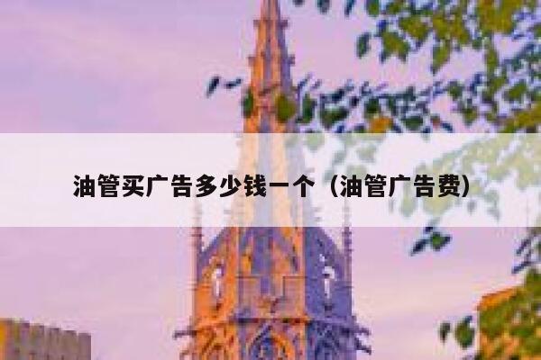 油管买广告多少钱一个（油管广告费） 第1张