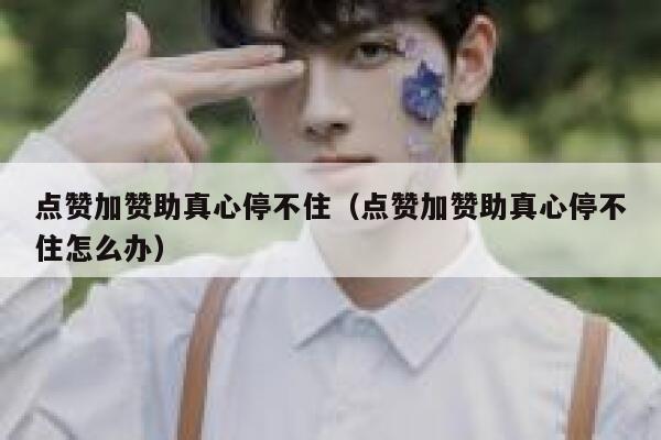 点赞加赞助真心停不住（点赞加赞助真心停不住怎么办） 第1张
