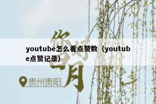 youtube怎么看点赞数（youtube点赞记录） 第1张