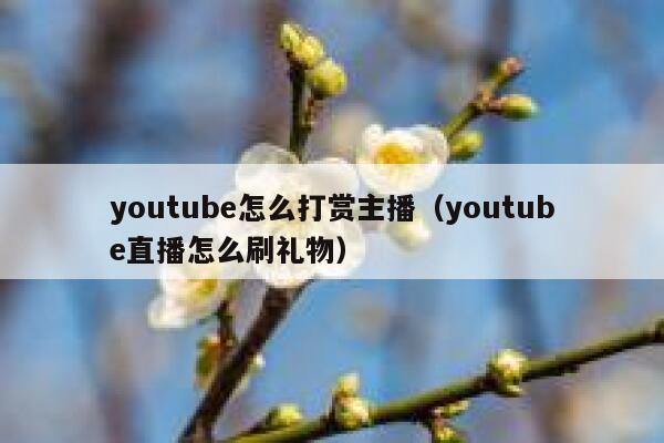youtube怎么打赏主播（youtube直播怎么刷礼物） 第1张
