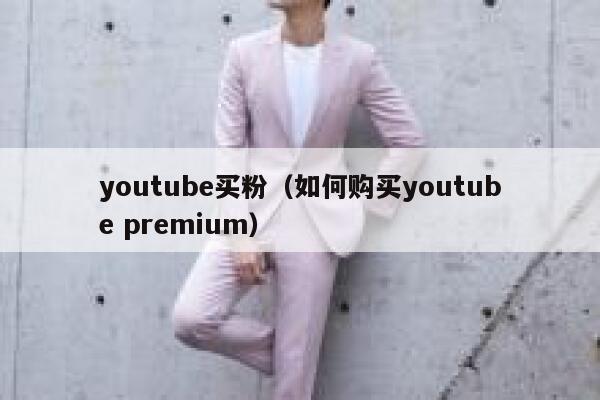 youtube买粉（如何购买youtube premium） 第1张