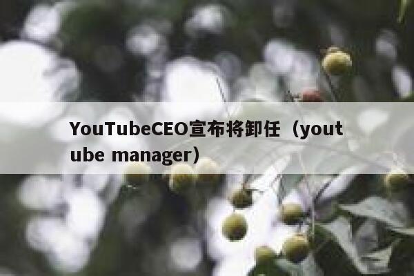 YouTubeCEO宣布将卸任（youtube manager） 第1张