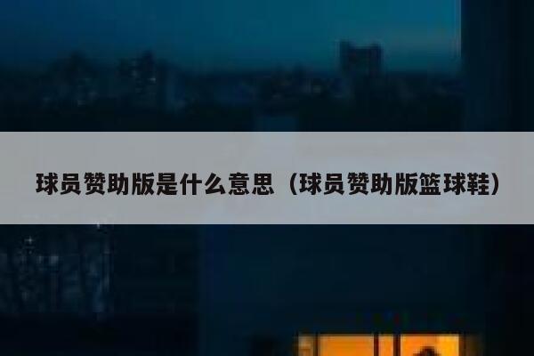 球员赞助版是什么意思（球员赞助版篮球鞋） 第1张