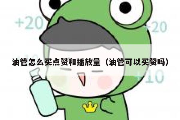 油管怎么买点赞和播放量(油管可以买赞吗) 第1张 油管怎么买点赞和播放量(油管可以买赞吗) 第1张