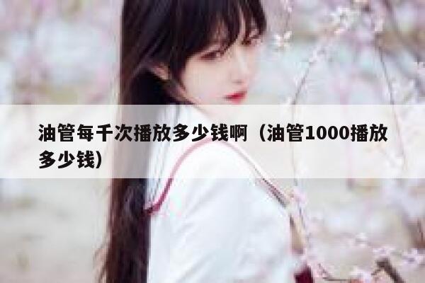 油管每千次播放多少钱啊（油管1000播放多少钱） 第1张
