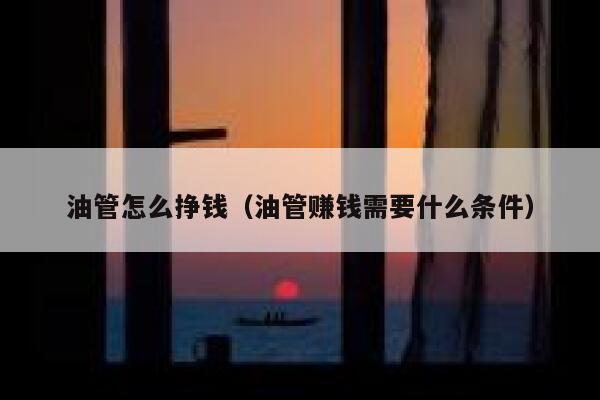 油管怎么挣钱(油管赚钱需要什么条件) 第1张 油管怎么挣钱(油管赚钱需要什么条件) 第1张
