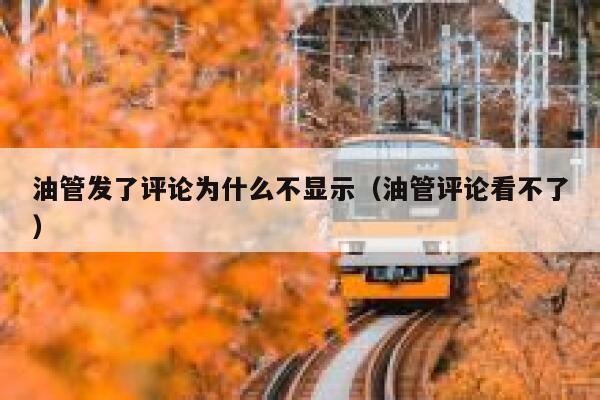 油管发了评论为什么不显示（油管评论看不了） 第1张