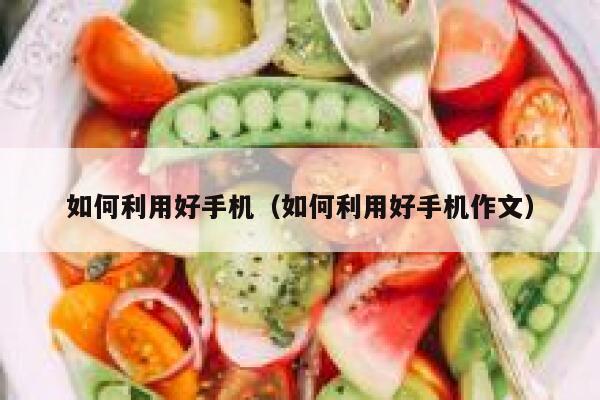 如何利用好手机（如何利用好手机作文） 第1张