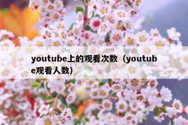 youtube上的观看次数（youtube观看人数） 第1张