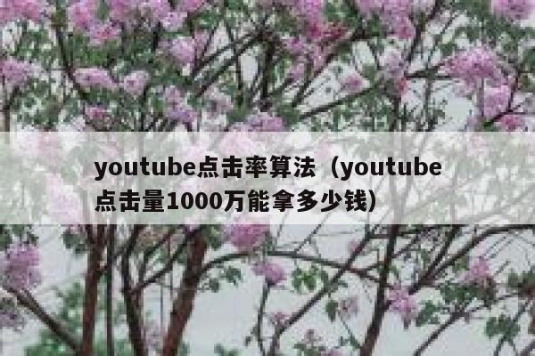 youtube点击率算法（youtube点击量1000万能拿多少钱） 第1张