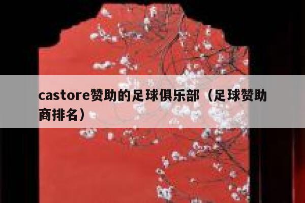 castore赞助的足球俱乐部（足球赞助商排名） 第1张
