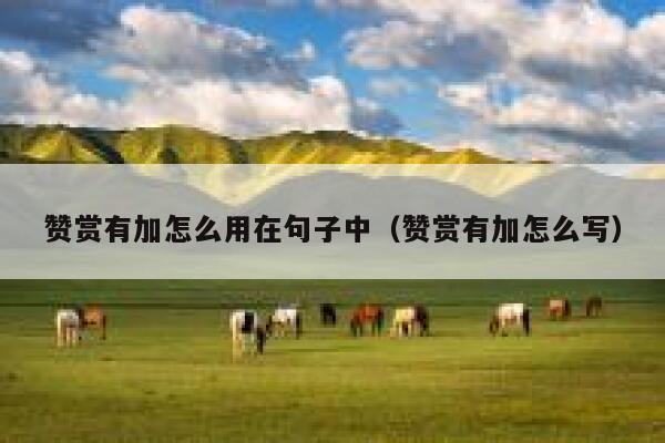 赞赏有加怎么用在句子中（赞赏有加怎么写） 第1张
