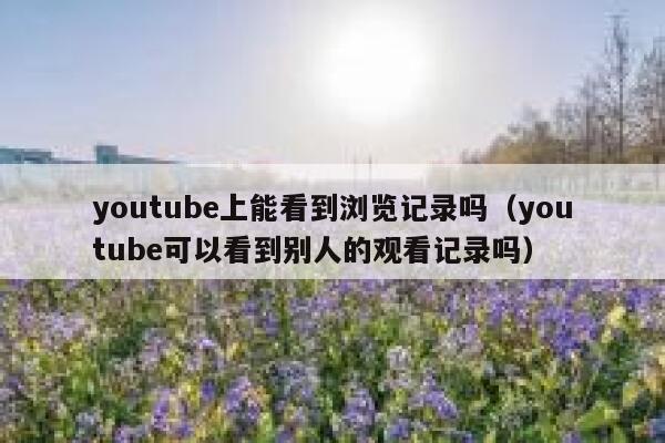 youtube上能看到浏览记录吗（youtube可以看到别人的观看记录吗） 第1张