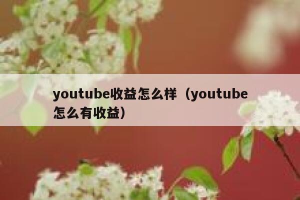 youtube收益怎么样（youtube怎么有收益） 第1张