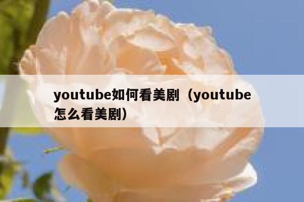 youtube如何看美剧（youtube怎么看美剧） 第1张