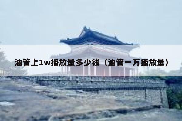 油管上1w播放量多少钱（油管一万播放量） 第1张