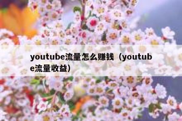 youtube流量怎么赚钱（youtube流量收益） 第1张